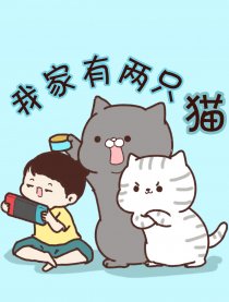 我家有两只猫